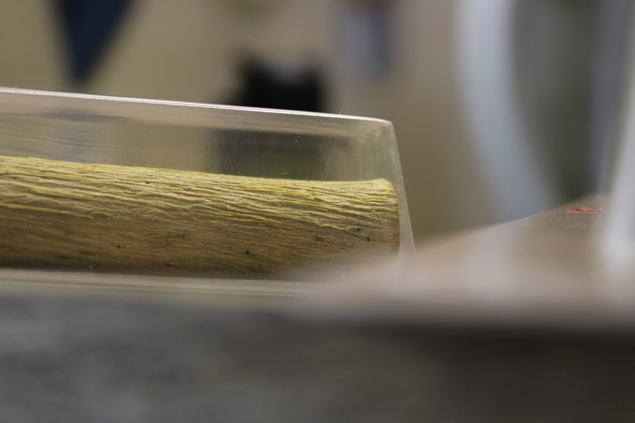 Natural Apple Wood Chew Sticks for Rabbits & Chinchillas | Safe & Eco-Friendly Pet Chews